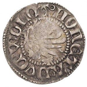 Barnim VII i Warcisław IX 1405-1451, wit, Aw: Gryf i na...