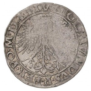 grosz 1535, Wilno, odmiana z literą N pod Pogonią, ciek...