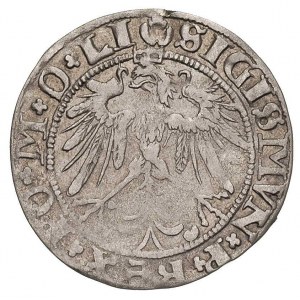 grosz 1536, Wilno, odmiana z literą I pod Pogonią i kro...