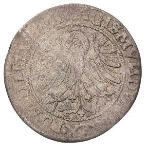 zestaw monet: grosz 1535 i 1536, Wilno, odmiany bez lit...
