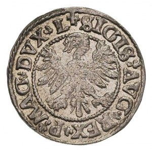 półgrosz 1546, Wilno, typ III, na awersie Orzeł starego...