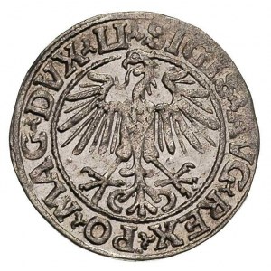 półgrosz 1549, Wilno, Ivanauskas 476:74