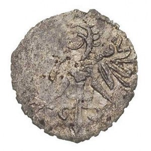 denar 1551, Wschowa, gwiazdki pomiędzy literami, T. 30,...