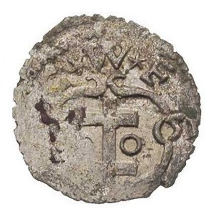 denar 1551, Wschowa, gwiazdki pomiędzy literami, T. 30,...