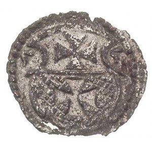 denar 1555, Elbląg, T. 7, patyna