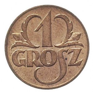 grosz 1923, Warszawa, Parchimowicz 101 a