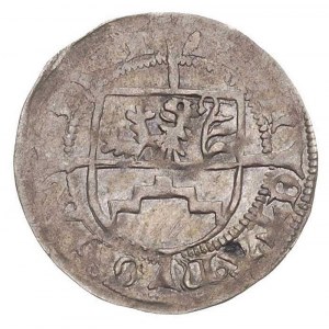 Bogusław X 1478-1523, szeląg bez daty, Dąbie, Dbg 384, ...