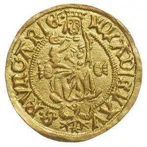 Władysław II Jagiellończyk 1490-1516, goldgulden bez da...