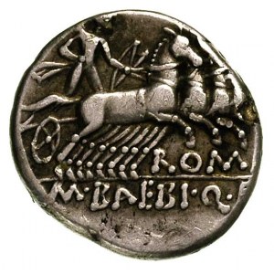 M. Baebius Q.f. Tampilus 137 pne, denar, Aw: Głowa Romy...