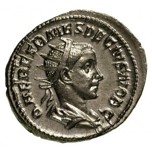 Herennius Etruskus 251, antoninian, Aw: Popiersie w kor...