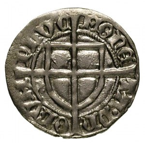 Michał Küchmeister von Sternberg 1414-1422, szeląg, Tor...