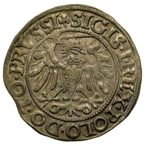 grosz 1540, Elbląg, na awersie końcówka napisu PRVSSI, ...
