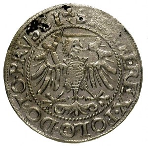 grosz 1540, Elbląg, na awersie końcówka napisu PRVSSI, ...