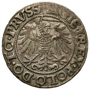 grosz 1540, Elbląg, na awersie końcówka napisu PRVSS, p...
