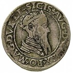 zestaw monet: czworak 1566, 1568 i 1569 oraz grosz na s...