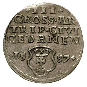 trojak 1557, Gdańsk, odmiana z małą głową króla, bez ob...