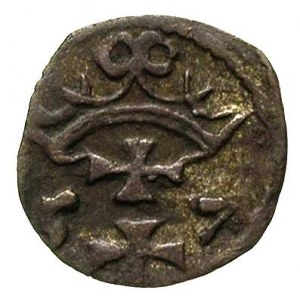 denar 1557, Gdańsk, T. 10, ciemna patyna, rzadki