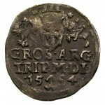 zestaw monet: trojak 1590 (rzadka odmiana z herbem Leli...