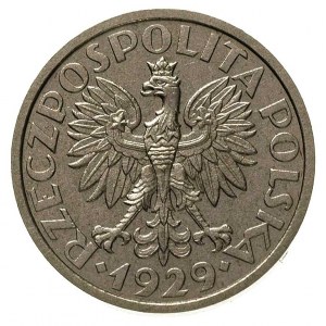 1 złoty 1929, Nominał w wieńcu, bez napisu PRÓBA, Parch...