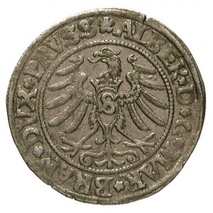 grosz 1531, Królewiec, Bahr. 1133, Neumann 45