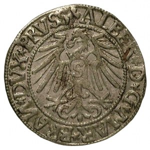 grosz 1544, Królewiec, Bahr. 1193, Neumann 47, ładnie z...