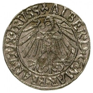 grosz 1546, Królewiec, Bahr. 1202, Neumann 47, drobna w...