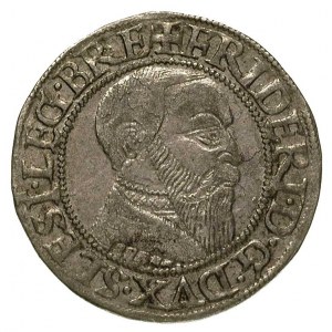 grosz 1543, Legnica, szeroka broda księcia, FuS 1359