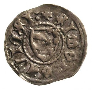 Piotr I 1375-1391, grosz, Aw: Głowa wołu z gwiazdą międ...