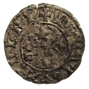 Aleksander I 1400-1432, dwugrosz, Aw: Głowa wołu z gwia...