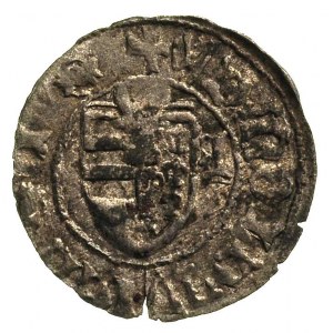 Aleksander I 1400-1432, dwugrosz, Aw: Głowa wołu z gwia...