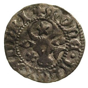 Aleksander I 1400-1432, dwugrosz, Aw: Głowa wołu z gwia...