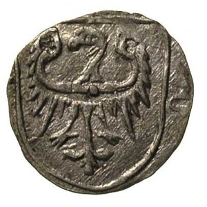 księstwo oleśnickie, Konrad VIII (ok.1416-1444/7), hale...