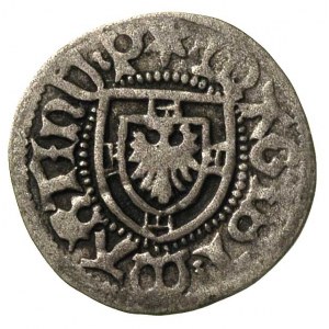 Martin Truchsess von Wetzhausen 1477-1489, szeląg, Aw: ...