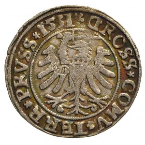 grosz 1531, Toruń, ładna tęczowa patyna