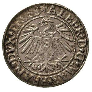 grosz 1537, Królewiec, Bahr. 1164, Neumann 45, ładny eg...