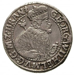 ort 1623, Królewiec, Neumann 10.101