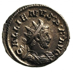 Gallienus 253-268, antoninian, Kolonia, Aw: Popiersie w...