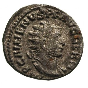 Gallienus 253-268, antoninian, Aw: Popiersie w koronie ...