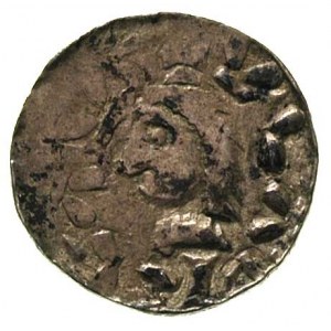 Władysław Herman 1081-1102, denar, Aw: Głowa w otoku na...