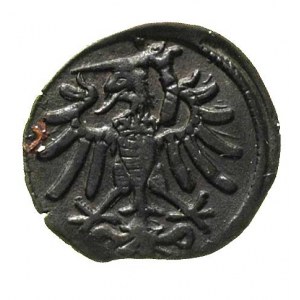 denar 1546, Gdańsk, T. 8, ładnie zachowany
