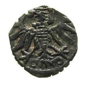 denar 1550, Gdańsk, T. 12, rzadki