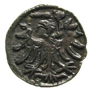denar 1554, Gdańsk, odmiana z szeroką koroną, T. 8, rza...