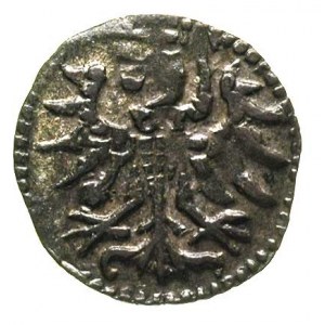 denar 1555, Gdańsk, T. 8, rzadki