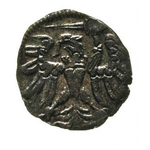 denar 1557, Gdańsk, odmiana z szeroką i szpiczastą koro...