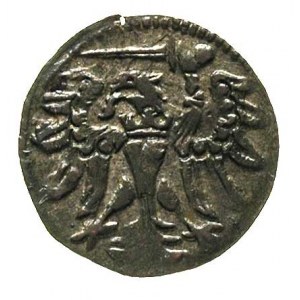 denar 1557, Gdańsk, odmiana z wąską i płaską koroną, T....