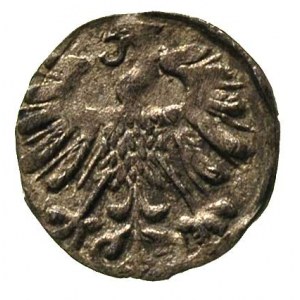 denar 1558, Wilno, Ivanauskas 442:63, T. 4