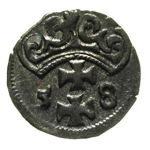 denar 1558, Gdańsk, T. 10, rzadki