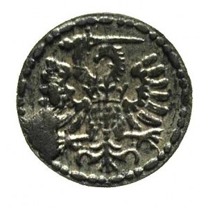 denar 1590, Gdańsk, T. 1