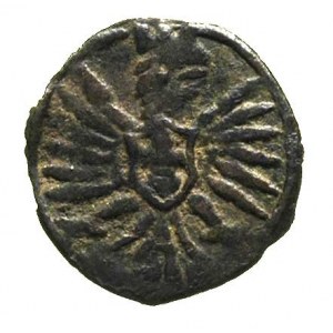 denar 1606, Poznań, T. 4, rzadki