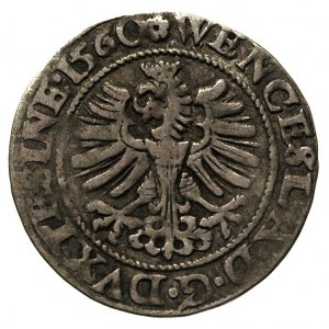 grosz 1560, Cieszyn, FuS. 2952, bardzo rzadki, patyna
